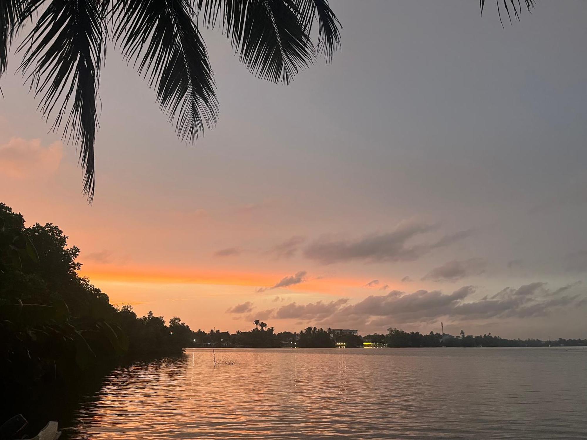 Villa Roy Bentota Dış mekan fotoğraf